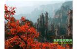春節(jié)期間：張家界、天子山、金鞭溪自駕車精華精品游