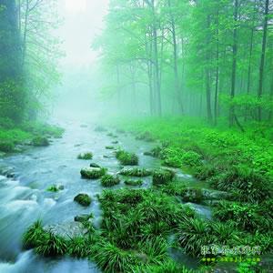 【純玩散拼尊享系列3】張家界、天子山、袁家界、黃龍洞、鳳凰三晚四日游