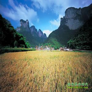 張家界往返純玩散拼：矮寨大橋、德夯苗寨、鳳凰古城、芙蓉鎮(zhèn)二日游