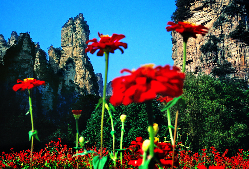 LF線：張家界國家森林公園、猛洞河漂流、鳳凰古城純玩自助五日游